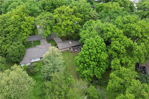 Media Image 2