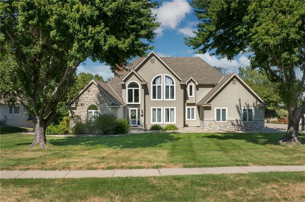 Media Image 1
