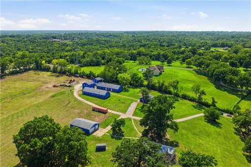 Media Image 3