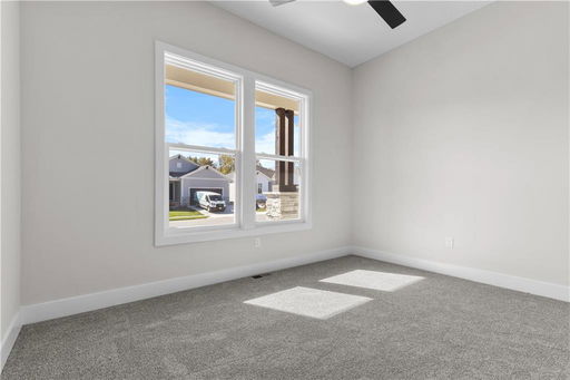 Media Image 3