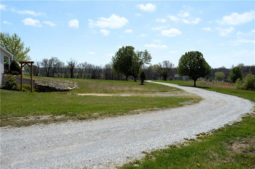 Media Image 3