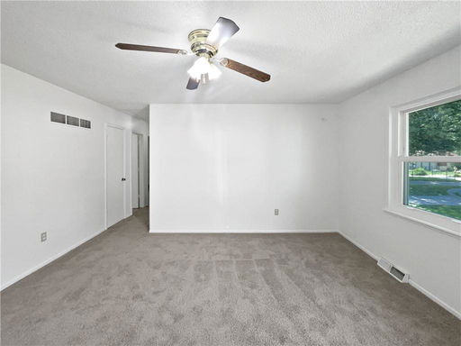 Media Image 3