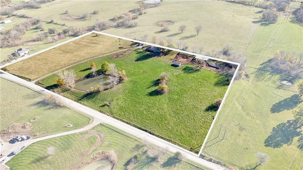 Media Image 1
