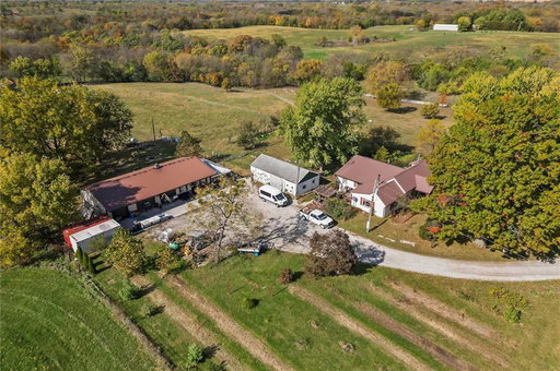 Media Image 3