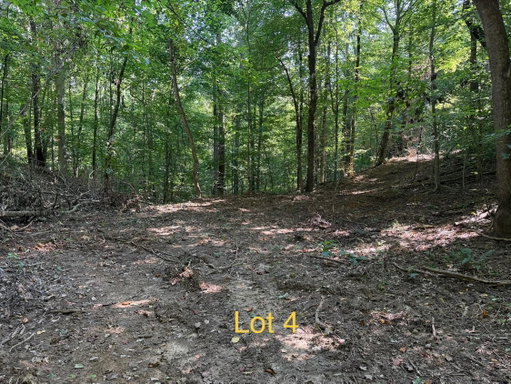 Media Image 3