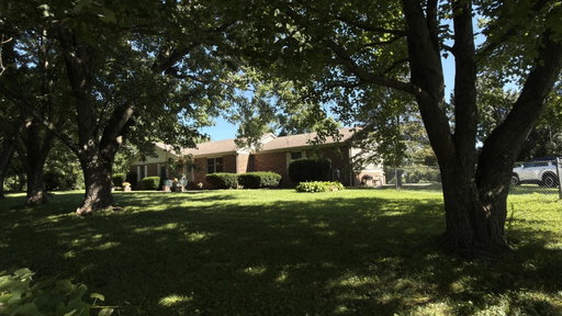 Media Image 3