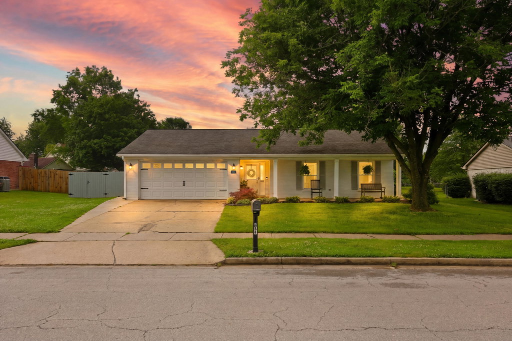 Media Image 1