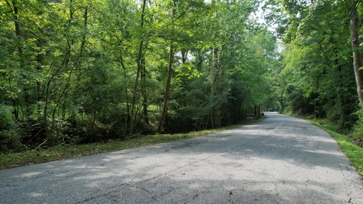 Media Image 3