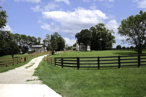Media Image 2