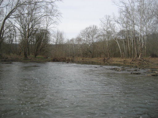 Media Image 2