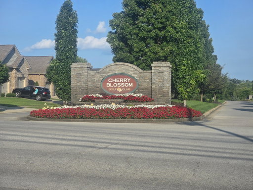 Media Image 2