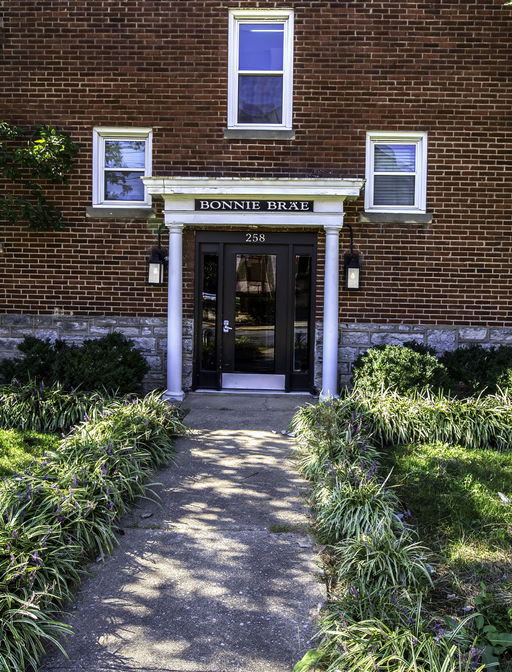Media Image 2
