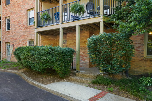 Media Image 3