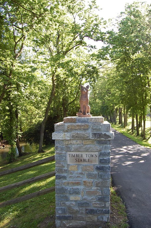 Media Image 2