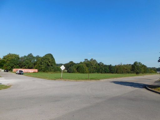 Media Image 3