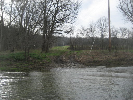 Media Image 3