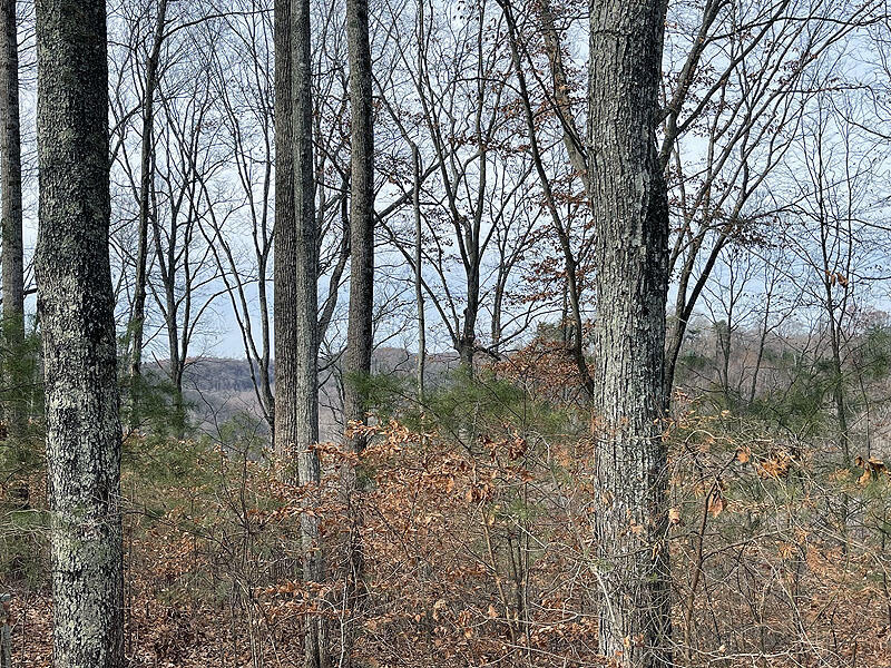 Image Unavailable