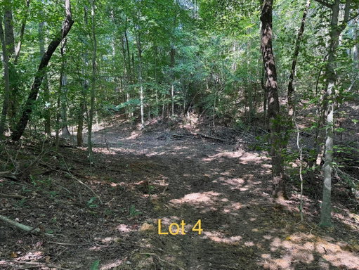 Media Image 2
