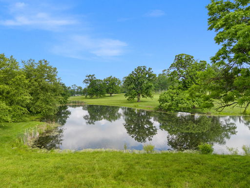 Media Image 3