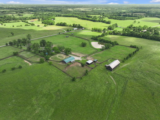 Media Image 2