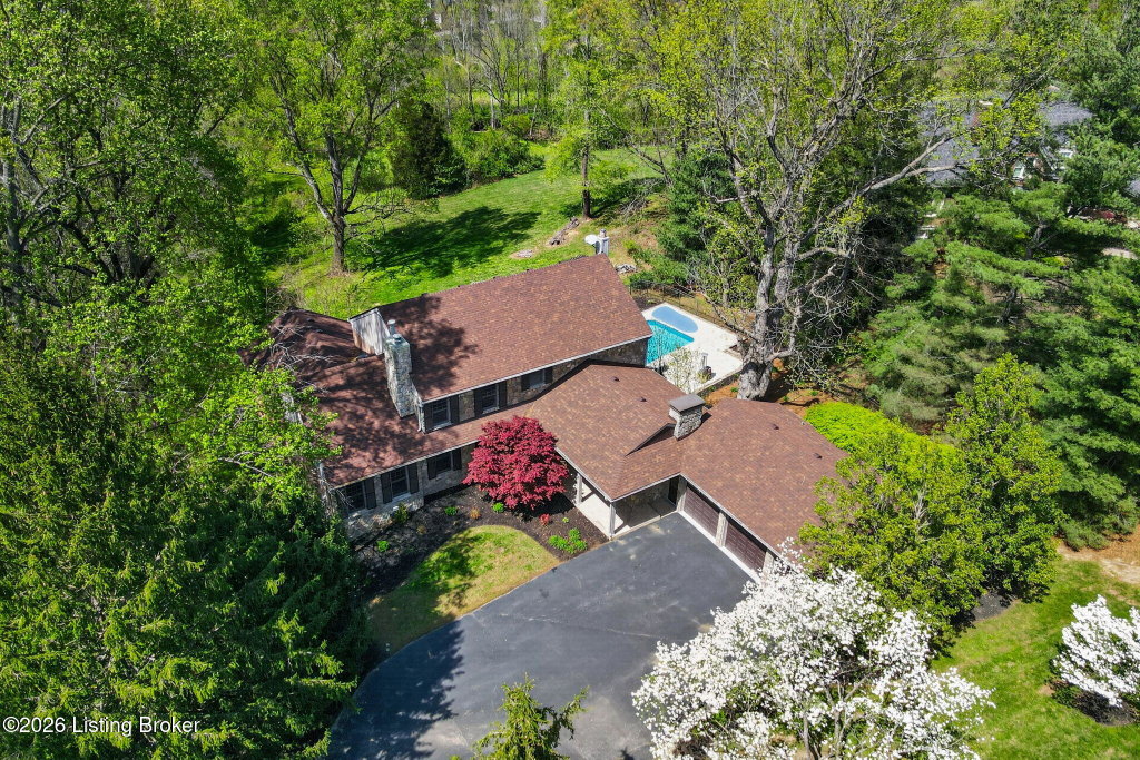 Media Image 1