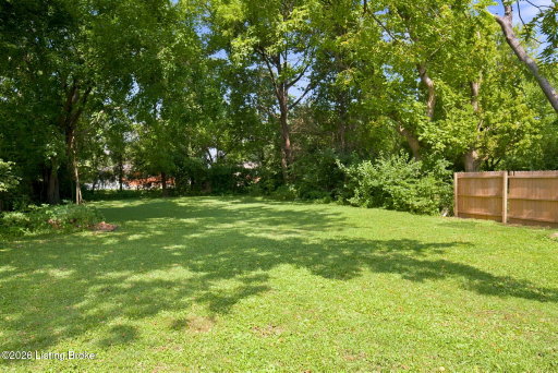 Media Image 2