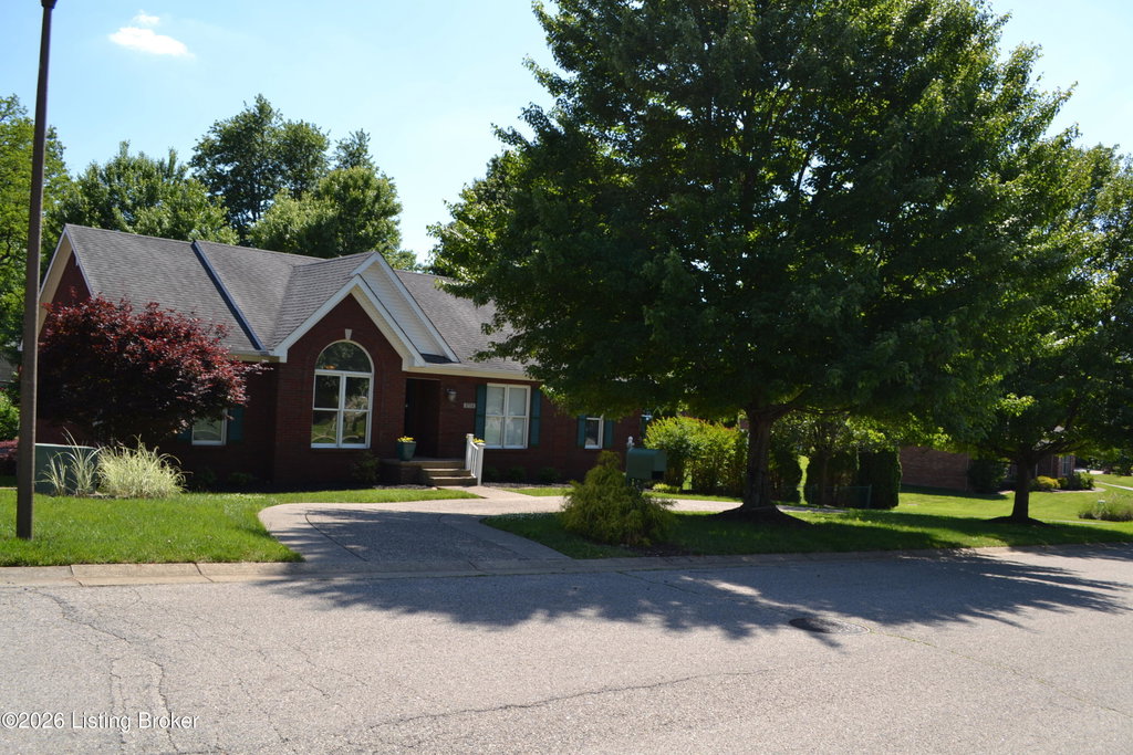 Media Image 1