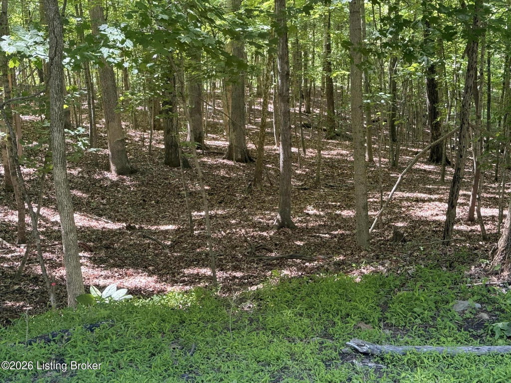 Image Unavailable