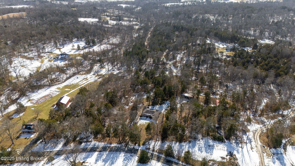 Media Image 1