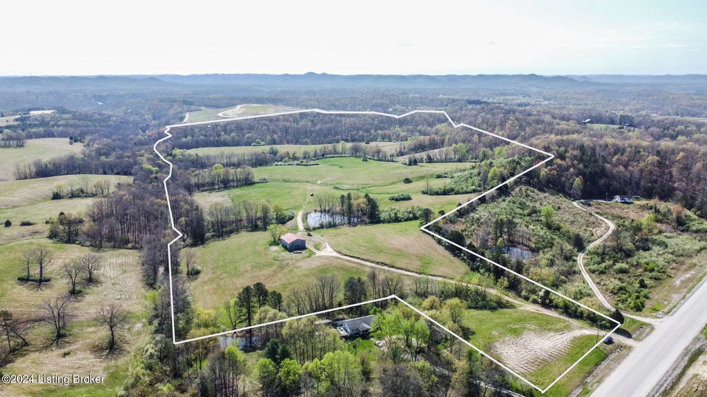 Media Image 1