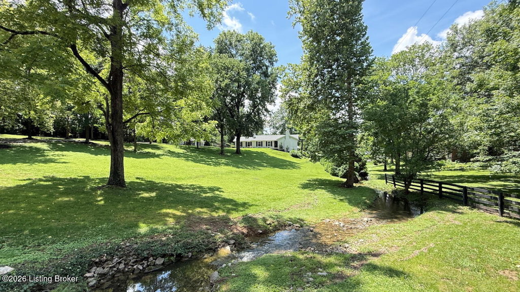 Media Image 1