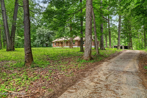 Media Image 3