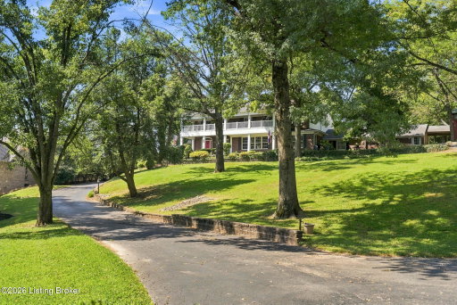 Media Image 2