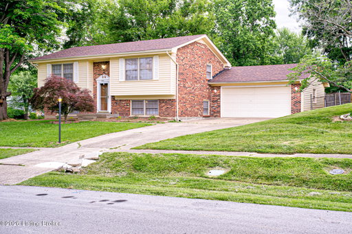 Media Image 2