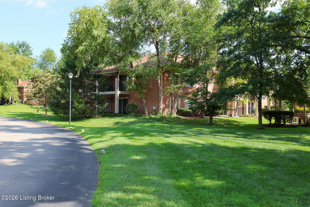 Media Image 1