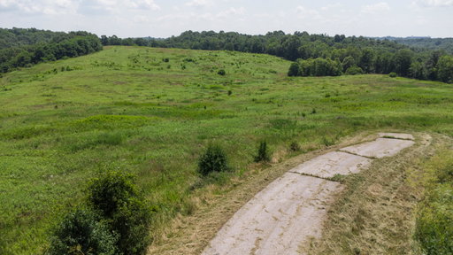 Media Image 2