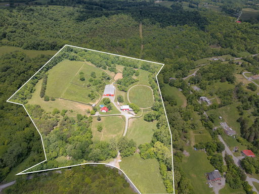 Media Image 3