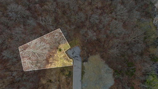 Media Image 2