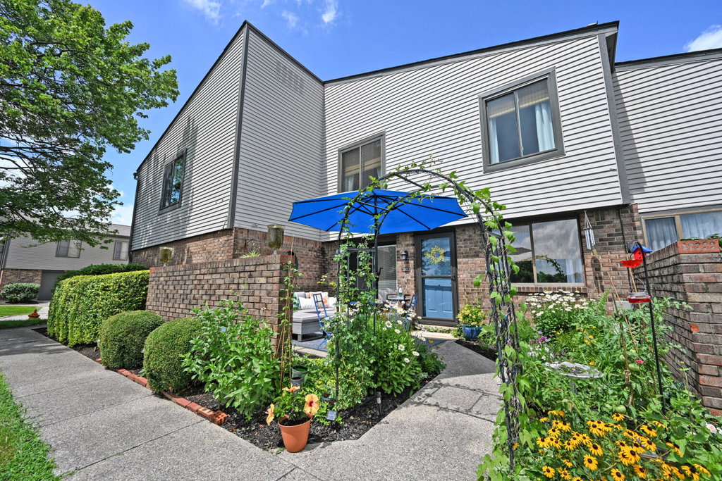 Media Image 1