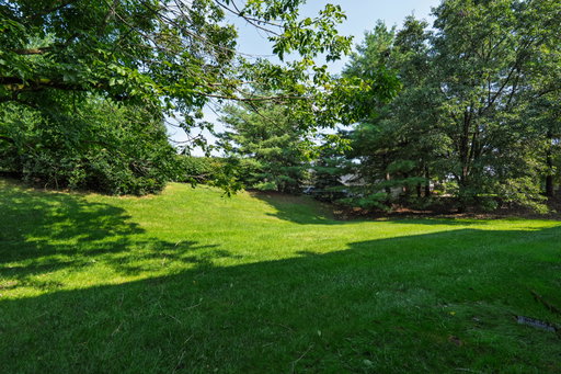 Media Image 3