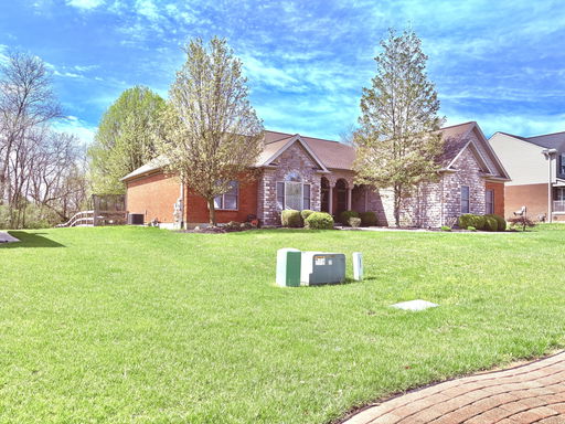 Media Image 2