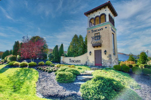 Media Image 2