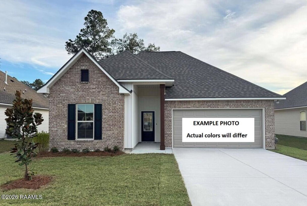 Media Image 1