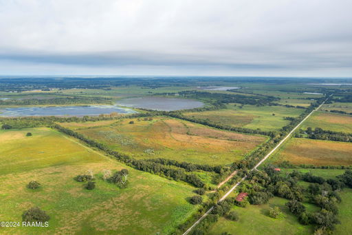 Media Image 2