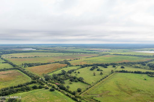 Media Image 3