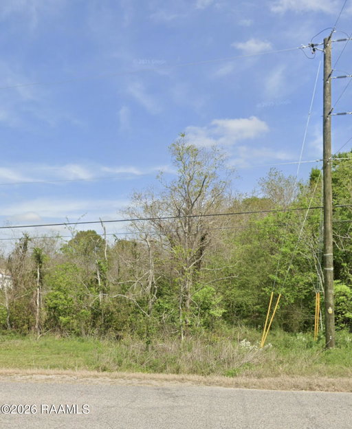 Media Image 2