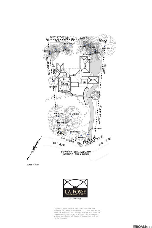 Media Image 2