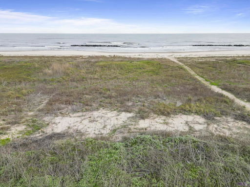 Media Image 2
