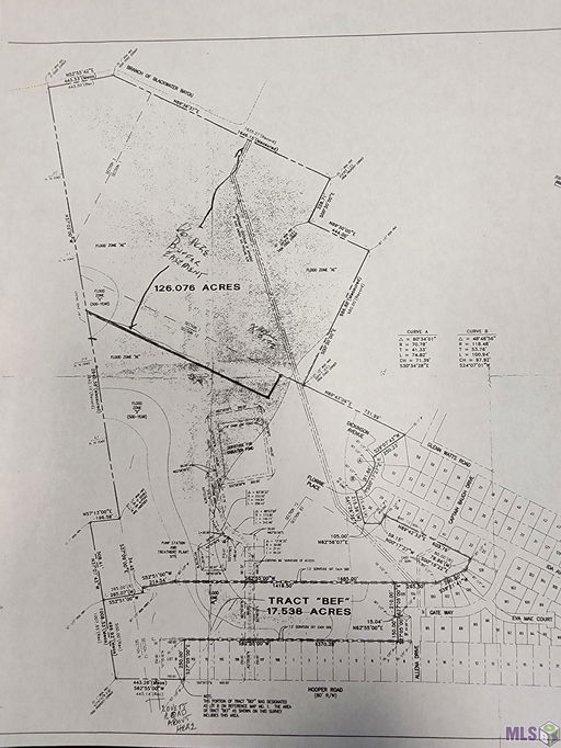Media Image 2
