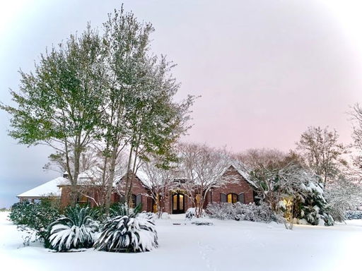 Media Image 2